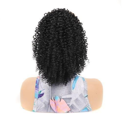 Ladies Short Small Curly Wig