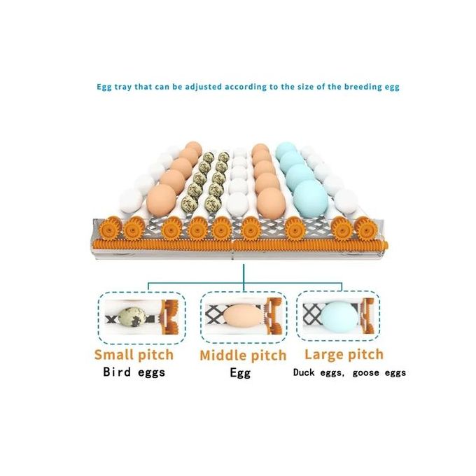 Intelligent Constant Temperature Egg Incubator – 16 Egg Capacity