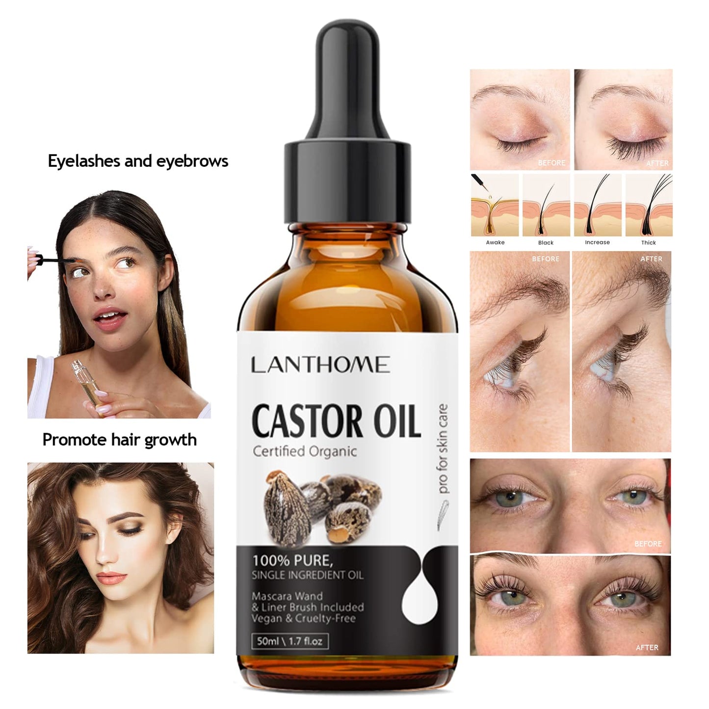 Lanthome Castor Oil