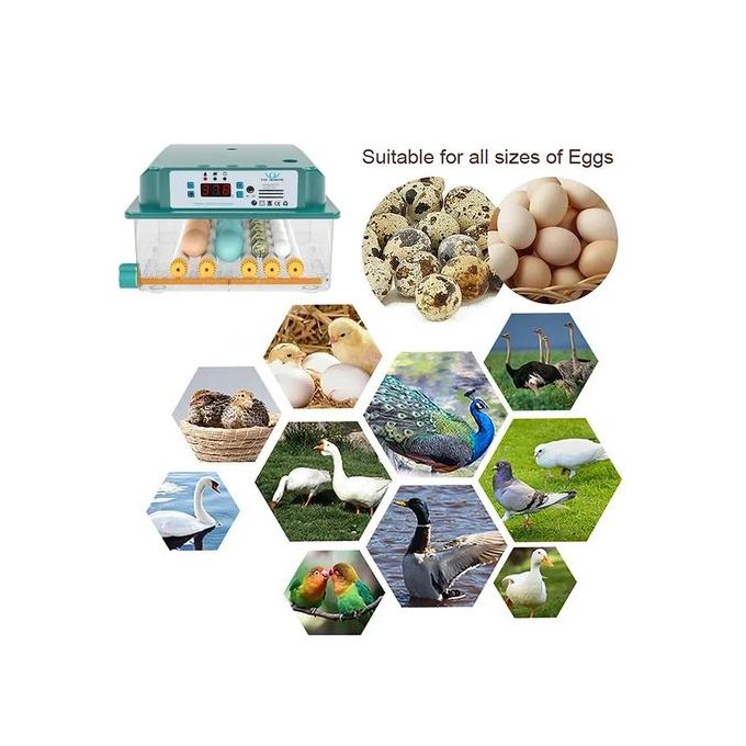 Intelligent Constant Temperature Egg Incubator – 16 Egg Capacity