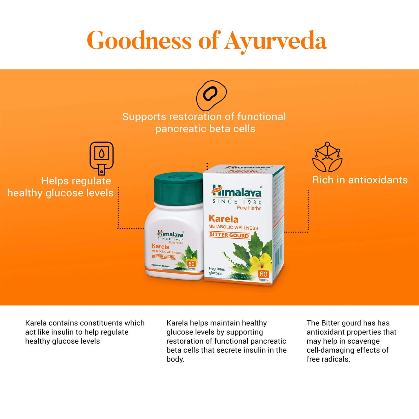 Himalaya Karela Metabolic Wellness – 60 Tablets