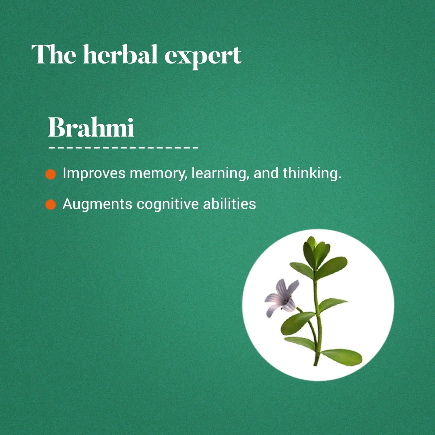 Himalaya Brahmi – Mind Wellness (60 Tablets)
