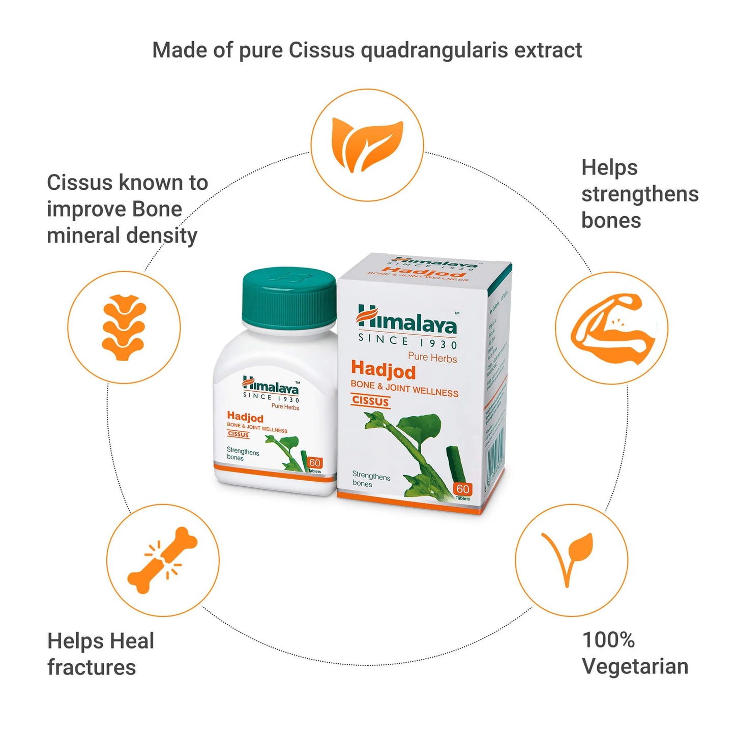 Himalaya Hadjod Bone & Joint Wellness – 60 Tablets