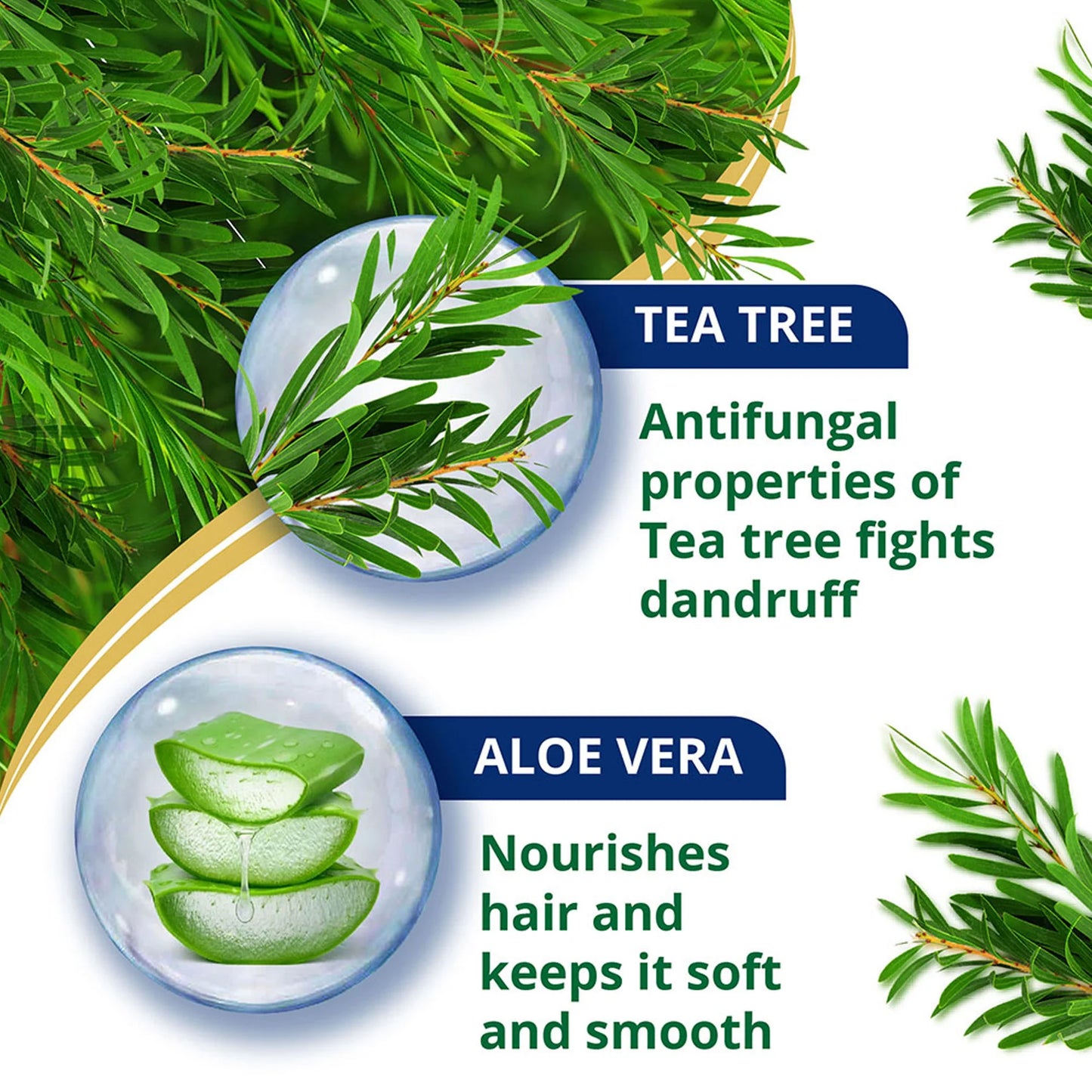 Himalaya Anti-Dandruff Tea Tree Conditioner