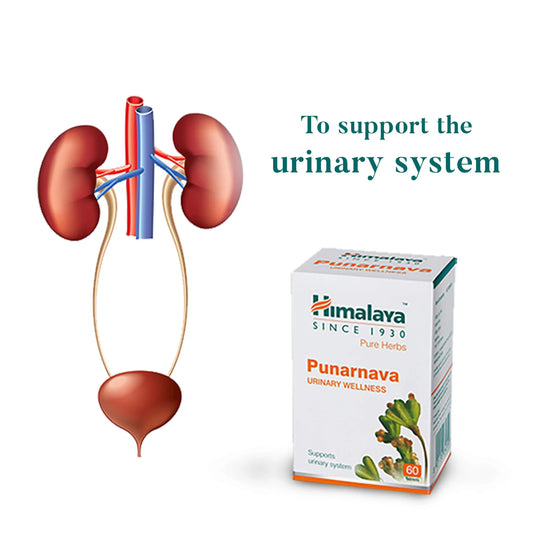 Himalaya Punarnava Urinary Wellness – 60 Tablets