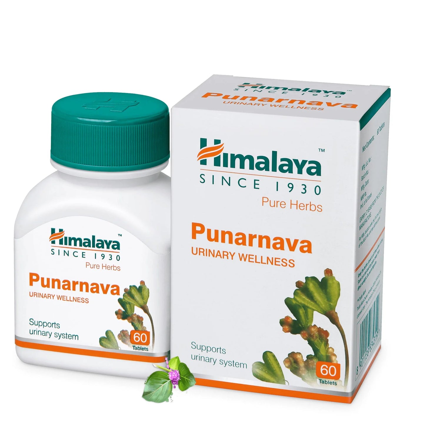Himalaya Punarnava Urinary Wellness – 60 Tablets