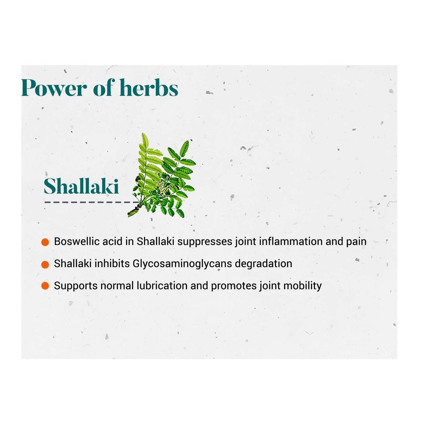Himalaya Shallaki – Bone & Joint Wellness (60 Tablets)