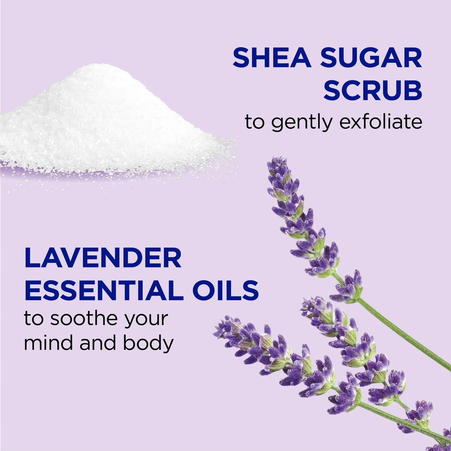 Dr Teal's Shea Sugar Body Scrub with Lavender Essential Oils – 454g