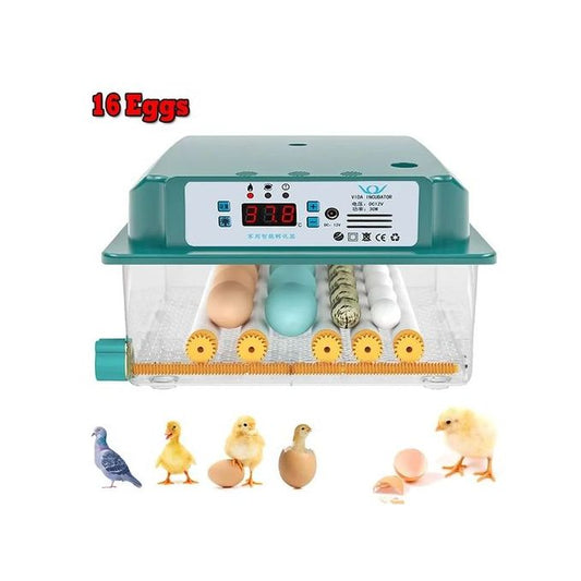 Intelligent Constant Temperature Egg Incubator – 16 Egg Capacity