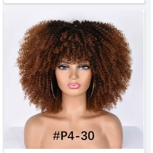 Afro Kinky Curly Ombre Synthetic Wig + FREE Gift Inside!!!