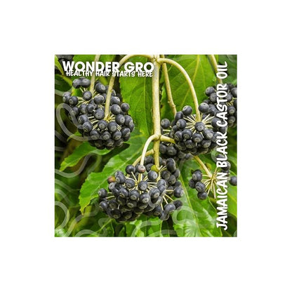 Wonder Gro Jamaican Black Castor Oil Hair Grease Styling Conditioner