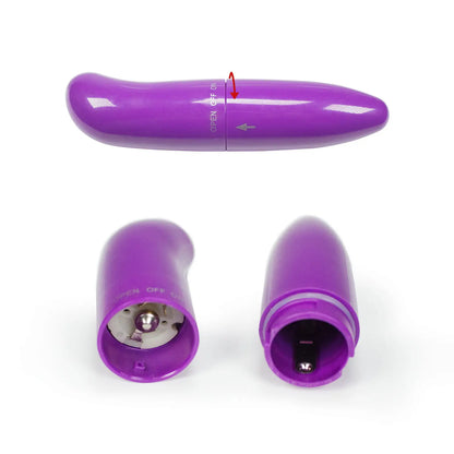 Cute Dolphin G-Spot Vibrator Massager – Waterproof