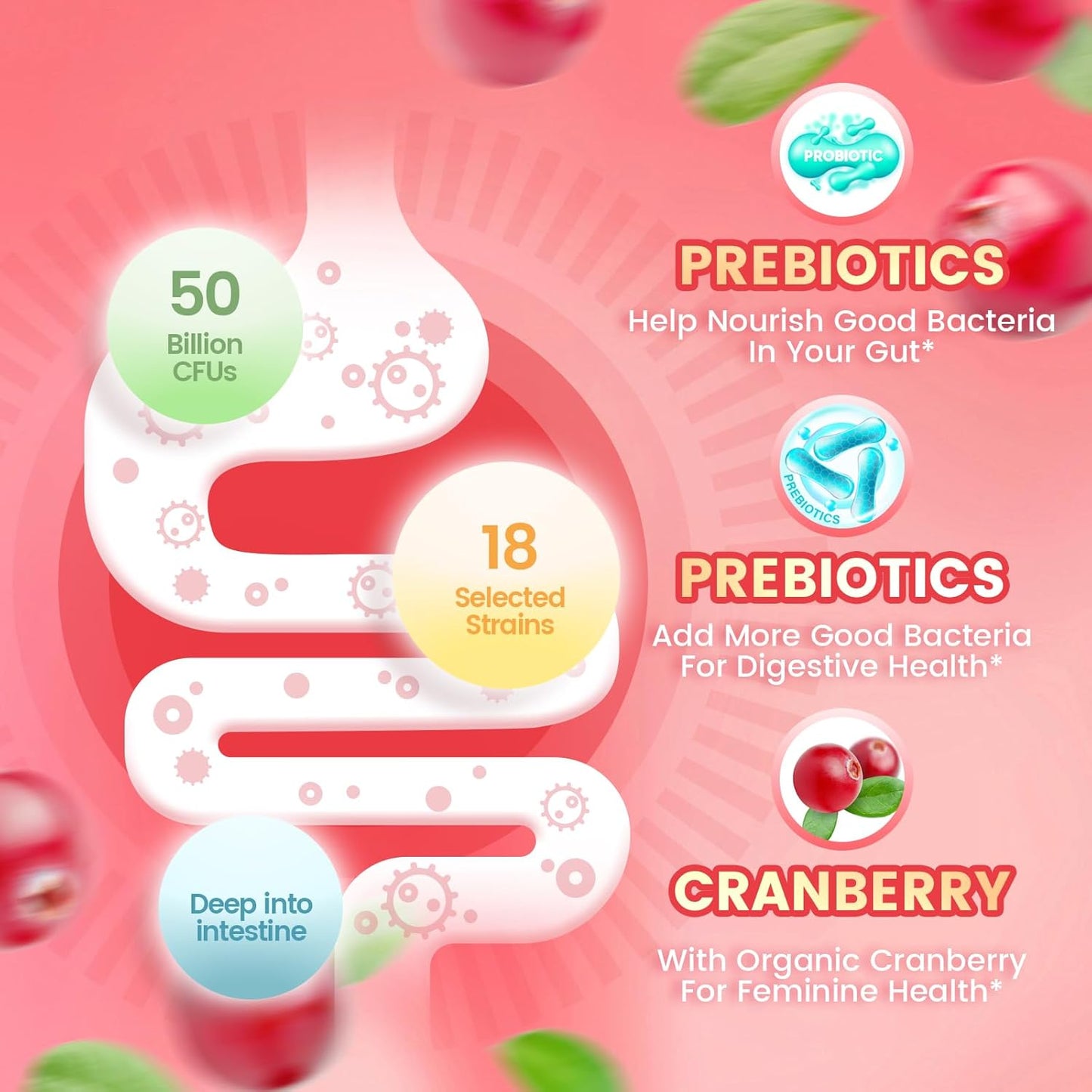 Women Probiotic Gummies (c)