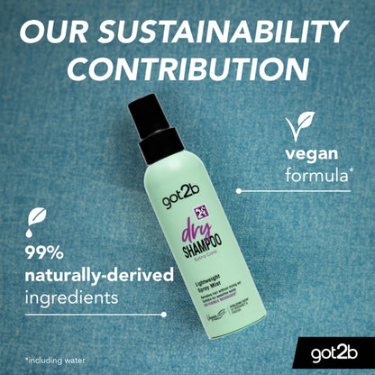 Got2b Dry Shampoo Extra Care