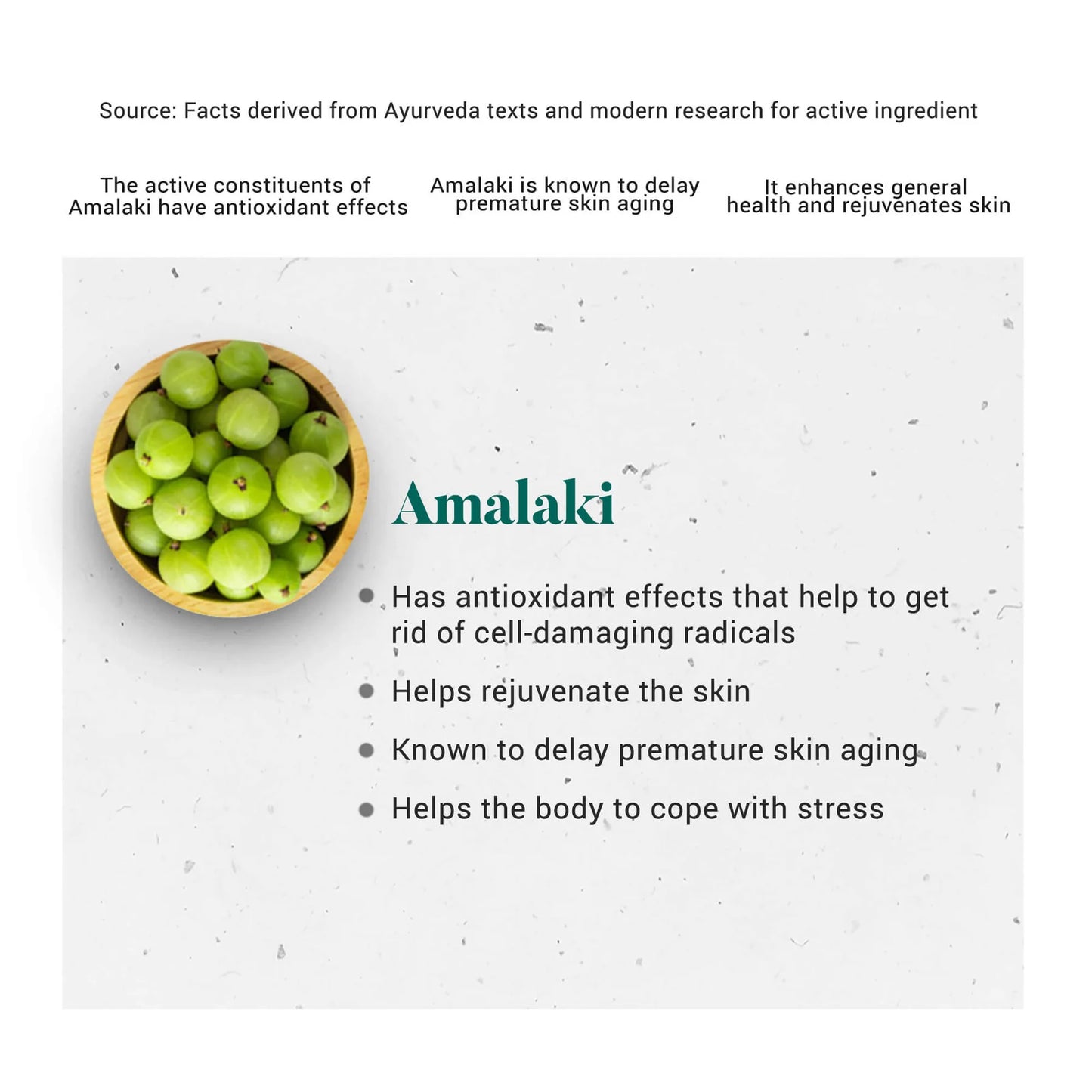 Himalaya Amalaki Immunity Wellness – 60 Tablets