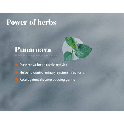 Himalaya Punarnava Urinary Wellness – 60 Tablets