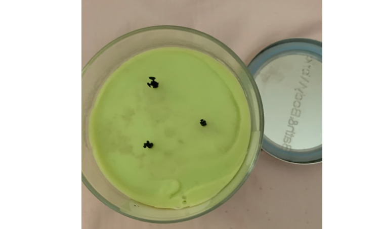 Bath & Body Works Cucumber Melon 3-Wick Candle