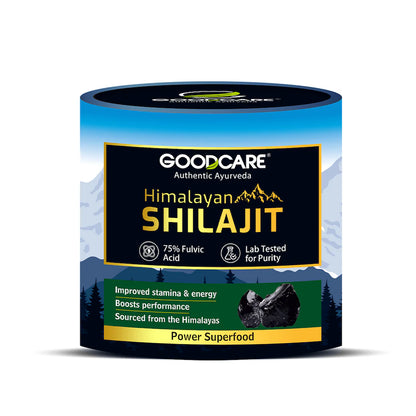 Goodcare Himalayan Shilajit Resin – 15 g