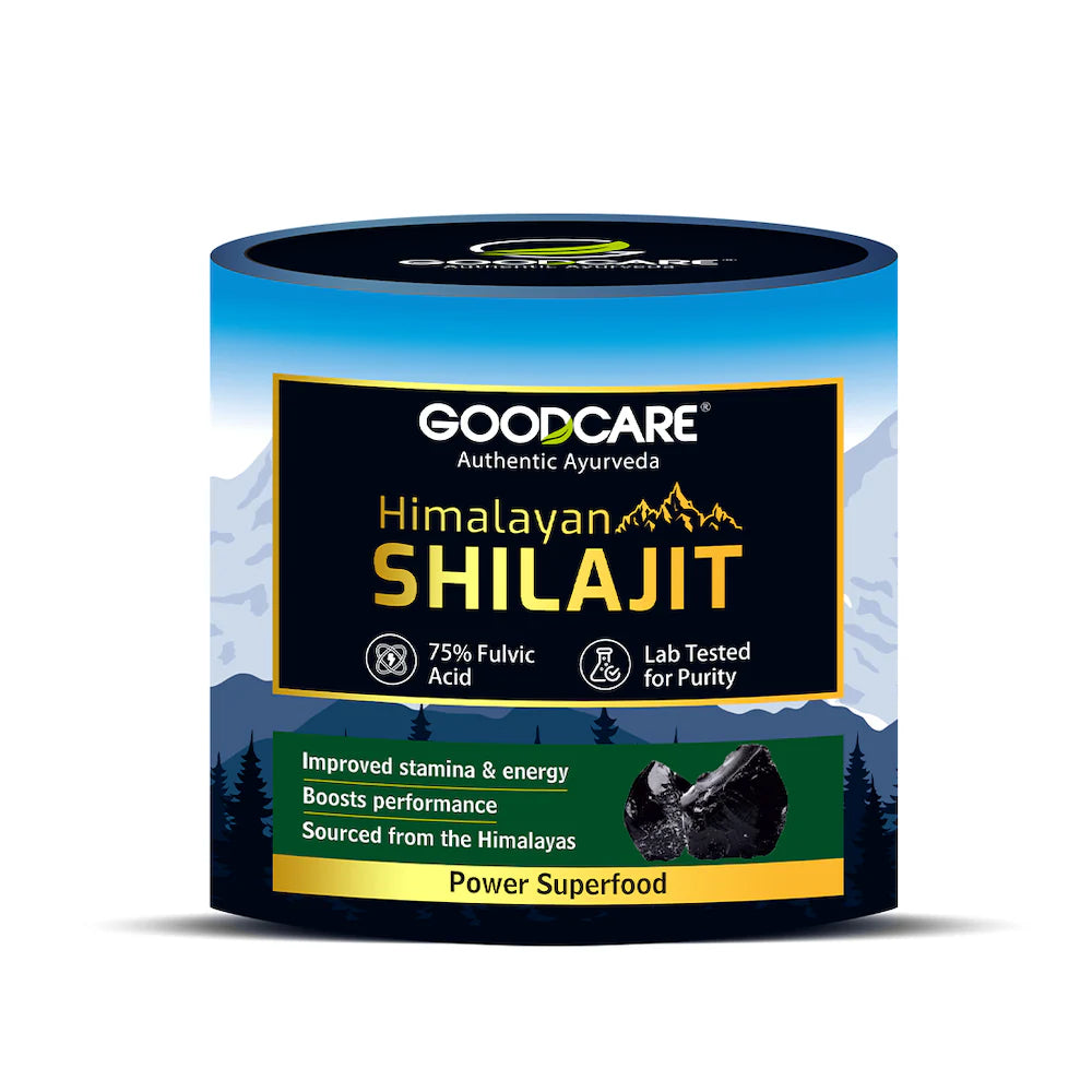 Goodcare Himalayan Shilajit Resin – 15 g