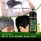 DISAAR Hair Dye 2 In 1 Ginseng & Oil Black Hair Color Permanent Shampoo For Men And Women