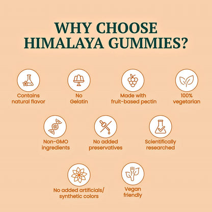 Himalaya Turmeric Gummies – 30 Gummies
