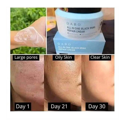 Dabo All In One Black Snail Repair Cream – 100g