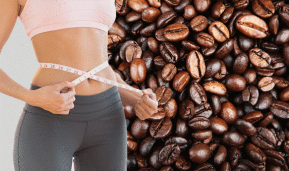 WINS TOWN Enzyme Coffee | Organic Coffee for Weight Loss, Increased Metabolism and Fat Burning